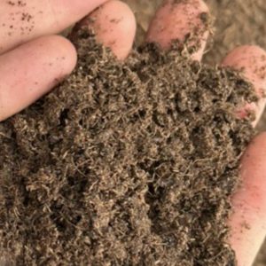 Alternative view of Giá thể ươm hạt giống cao cấp Peat Moss, đất trồng ươm cây giống PEATMOSS nhập khẩu