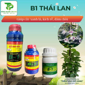 Phân bón lá Vitamin B1 Thái Lan giúp điều hòa sinh trưởng, kích rễ, xanh lá, thúc đẩy sinh trưởng nhanh dành cho hoa, cây cảnh