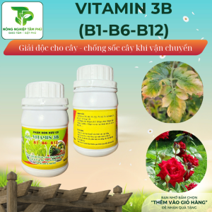 Alternative view of Vitamin B12 - Vitamin 3B (B1- B6- B12) giải độc cho cây bị sốc phân bón - quá liều lượng, chống sốc cho cây - phục hồi cây khi vận chuyển dành cho hoa và cây cảnh