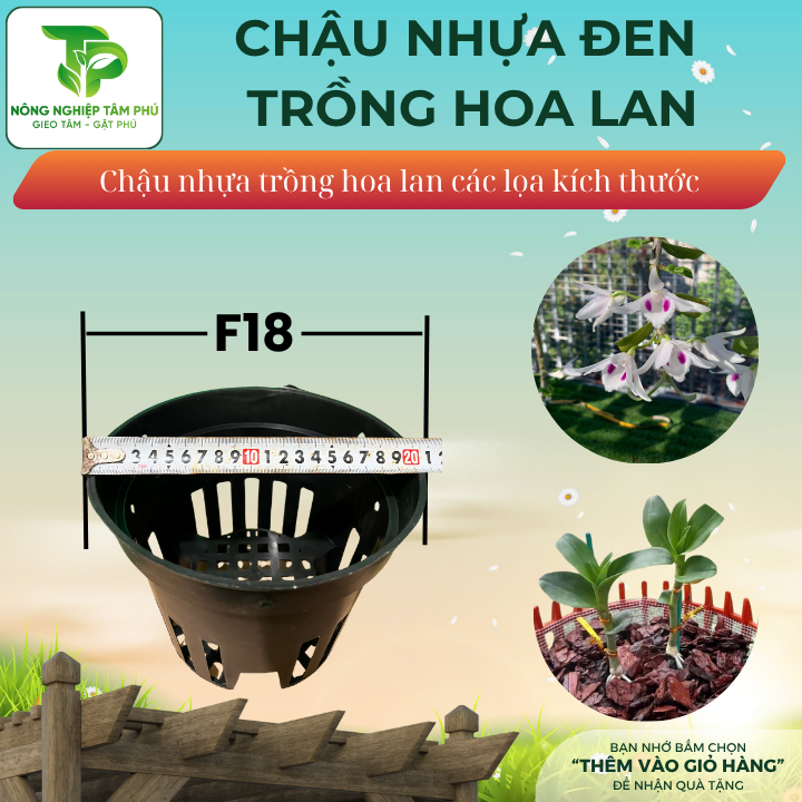 Chậu nhựa đen F12, F14, F16, F18, F21 trồng hoa lan nhiều kích thước, chậu trồng hoa lan đẹp - Ảnh 5