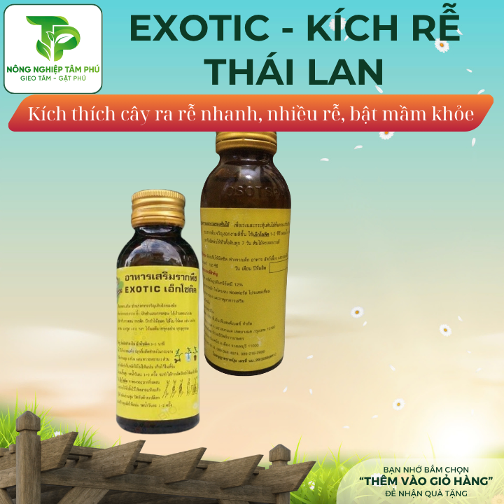 Kích rễ Thái Lan Exotic giúp kích thích cây ra rễ, bật mầm, phục hồi cây mới trồng dành cho hoa, cây cảnh - Ảnh 2