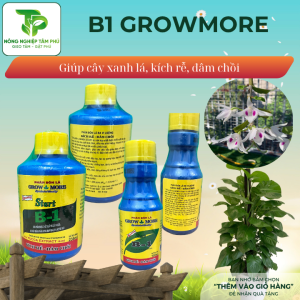 Phân bón lá Vitamin B1 Growmore giúp điều hòa sinh trưởng, kích rễ, xanh lá, thúc đẩy sinh trưởng nhanh dành cho hoa, cây cảnh