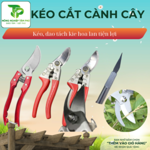 Kéo cắt cành, kéo cắt tỉa cây cảnh, dao cắt, tỉa cây kie hoa lan