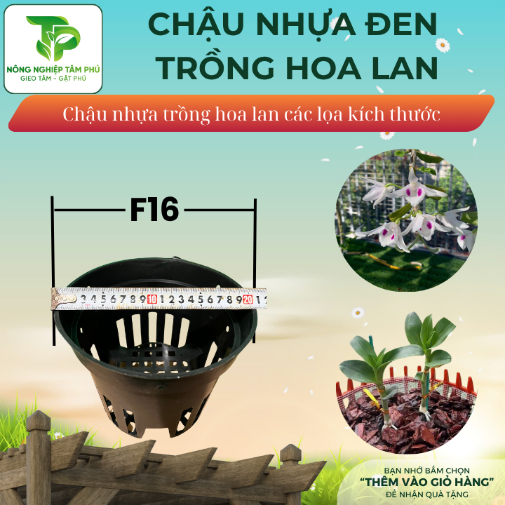 Chậu nhựa đen F12, F14, F16, F18, F21 trồng hoa lan nhiều kích thước, chậu trồng hoa lan đẹp - Ảnh 4