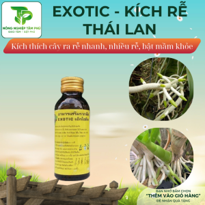Kích rễ Thái Lan Exotic giúp kích thích cây ra rễ, bật mầm, phục hồi cây mới trồng dành cho hoa, cây cảnh