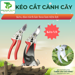 Alternative view of Kéo cắt cành, kéo cắt tỉa cây cảnh, dao cắt, tỉa cây kie hoa lan