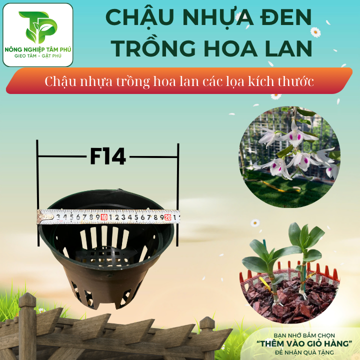 Chậu nhựa đen F12, F14, F16, F18, F21 trồng hoa lan nhiều kích thước, chậu trồng hoa lan đẹp - Ảnh 3