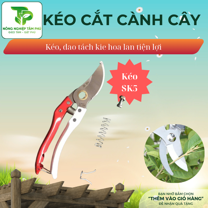 Kéo cắt cành, kéo cắt tỉa cây cảnh, dao cắt, tỉa cây kie hoa lan - Ảnh 3