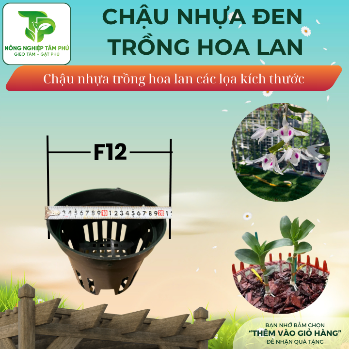 Chậu nhựa đen F12, F14, F16, F18, F21 trồng hoa lan nhiều kích thước, chậu trồng hoa lan đẹp - Ảnh 2