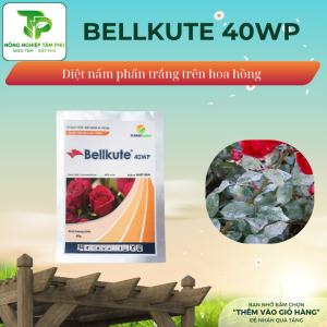 Alternative view of Bellkute 40WP đặc trị nấm phấn trắng dành cho hoa hồng và các loại hoa cây cảnh