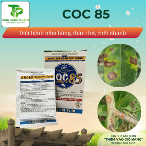 Alternative view of Coc 85WP đặc trị nấm hồng, thán thư, chết nhanh dành cho các loại hoa, cây cảnh