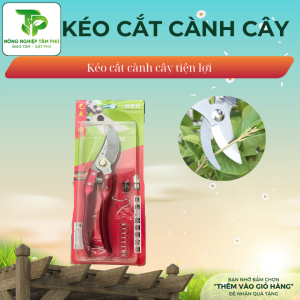 Alternative view of Kéo cắt cành, kéo cắt tỉa cây cảnh, dao cắt, tỉa cây kie hoa lan
