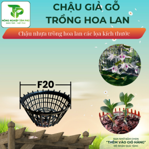 Chậu nhựa giả gỗ F20, F24, F28 có nan phụ chống lọt giá thể trồng hoa lan, nhiều kích thước, chậu trồng hoa lan đẹp