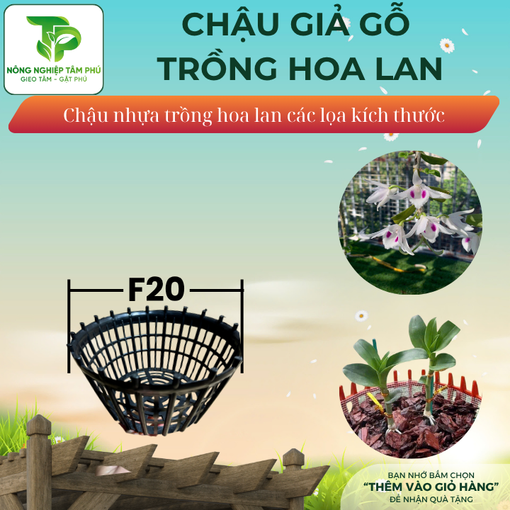 Chậu nhựa giả gỗ F20, F24, F28 có nan phụ chống lọt giá thể trồng hoa lan, nhiều kích thước, chậu trồng hoa lan đẹp