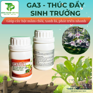 Alternative view of GA3 - kích thích ra rễ, bật mầm chồi thúc đẩy sinh trưởng dành cho hoa cây cảnh - tăng năng suất cho cây trồng
