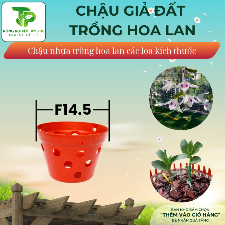 Chậu nhựa giả gốm đất nung F14,5; F20 trồng hoa lan nhiều kích thước, chậu trồng hoa lan đẹp