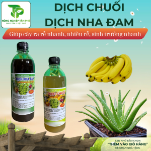GE chuối, GE nha đam, dịch chuối, dịch nha đam - phân bón lá hữu cơ giúp kích rễ, mập thân, xanh lá dành cho hoa lan, hoa hồng