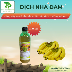 Alternative view of GE chuối, GE nha đam, dịch chuối, dịch nha đam - phân bón lá hữu cơ giúp kích rễ, mập thân, xanh lá dành cho hoa lan, hoa hồng