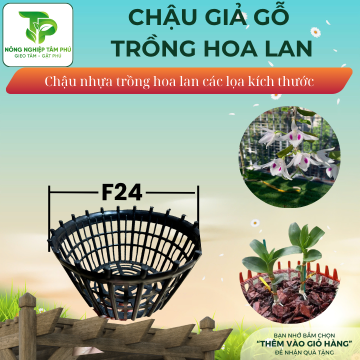 Chậu nhựa giả gỗ F20, F24, F28 có nan phụ chống lọt giá thể trồng hoa lan, nhiều kích thước, chậu trồng hoa lan đẹp - Ảnh 3