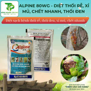 Alpine 80WG đặc trị thối rễ, xỉ mủ thân cây, mốc sương, chết nhanh, cháy bìa lá dành cho các loại hoa, cây cảnh