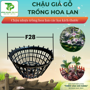 Alternative view of Chậu nhựa giả gỗ F20, F24, F28 có nan phụ chống lọt giá thể trồng hoa lan, nhiều kích thước, chậu trồng hoa lan đẹp