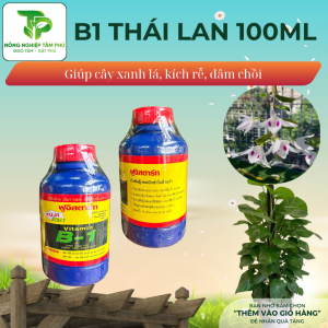 Alternative view of Phân bón lá Vitamin B1 Thái Lan giúp điều hòa sinh trưởng, kích rễ, xanh lá, thúc đẩy sinh trưởng nhanh dành cho hoa, cây cảnh