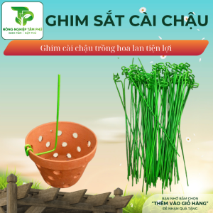 Ghim chậu sắt, gài kie hoa phong lan giúp trồng hoa lan, cây giống tiện lợi, que cắm chậu bọc nhựa
