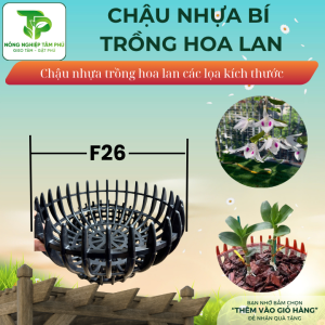 Alternative view of Chậu nhựa bí F22, F26, F31 trồng hoa lan nhiều kích thước, chậu trồng hoa lan đẹp