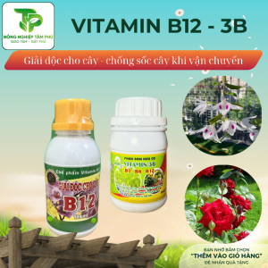 Vitamin B12 - Vitamin 3B (B1- B6- B12) giải độc cho cây bị sốc phân bón - quá liều lượng, chống sốc cho cây - phục hồi cây khi vận chuyển dành cho hoa và cây cảnh