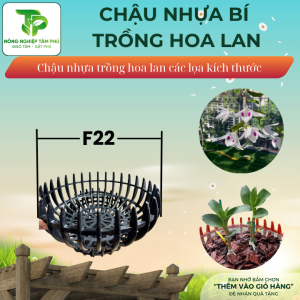 Chậu nhựa bí F22, F26, F31 trồng hoa lan nhiều kích thước, chậu trồng hoa lan đẹp