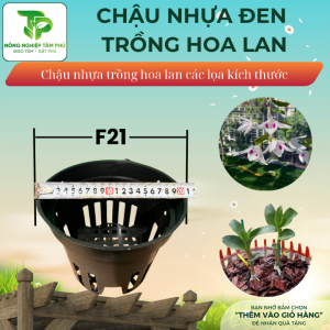 Chậu nhựa đen F12, F14, F16, F18, F21 trồng hoa lan nhiều kích thước, chậu trồng hoa lan đẹp