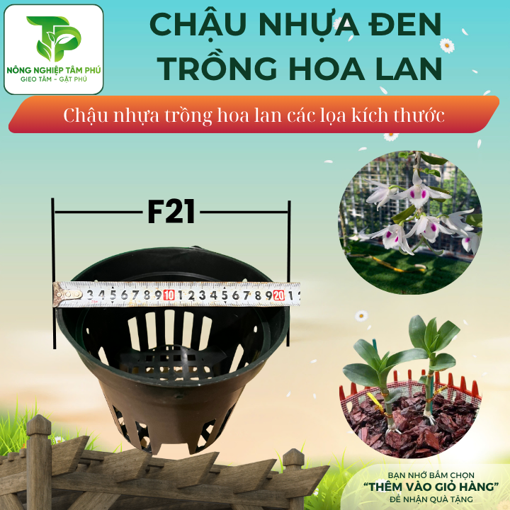 Chậu nhựa đen F12, F14, F16, F18, F21 trồng hoa lan nhiều kích thước, chậu trồng hoa lan đẹp