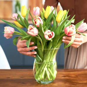 Alternative view of Bột giúp hoa tươi lâu, dưỡng hoa lâu tàn, không thối nước giúp hoa lâu tàn, tươi lâu dành cho hoa cắm xốp, cắm lọ nhập khẩu Israel