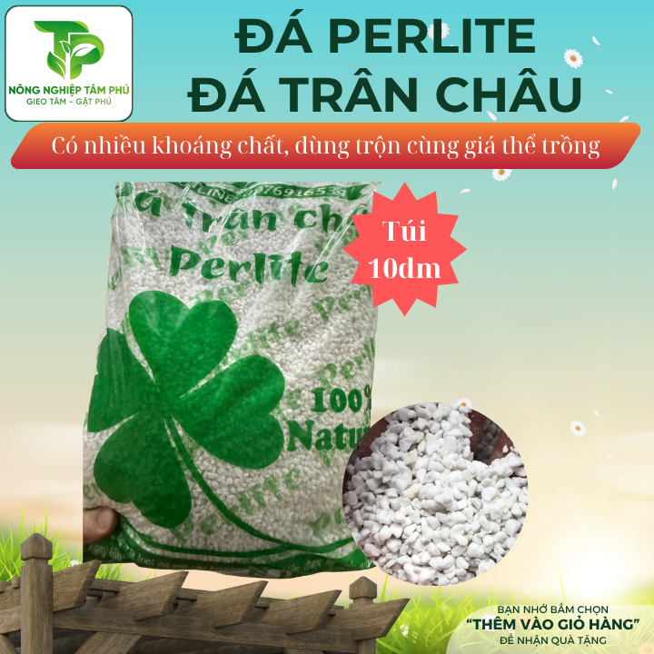 Đá Perlite - Đá trân châu trộn dùng giá thể trồng sen đá, sương rồng, hoa lan và cây cảnh - Ảnh 2