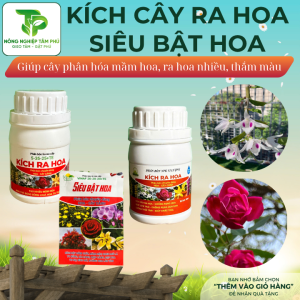 Kích hoa, siêu ra hoa, kích ra hoa trái vụ - phân bón lá giúp cây ra nhiều nụ, sai hoa chuyên dùng cho hoa lan, hoa hồng, cây cảnh