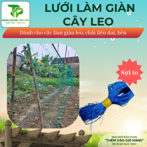 Alternative view of Lưới làm giàn leo có nhiều kích thước dành cho bầu, bí, dưa chuột, cà chua và các loại cây thân leo