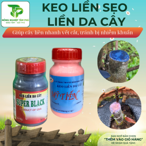 Keo hồng Mỹ Tiến, keo đen Mỹ 100g giúp liền da, keo liền sẹo, làm liền vết cắt, chống thối dành cho hoa lan, cây cảnh