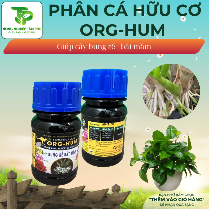 Phân cá Kích rễ, kích chồi, kích hoa/Seasol, Acroot, Powerfeed, Org-hum giúp cây mập mầm to hoa dành cho hoa cây cảnh - Ảnh 3