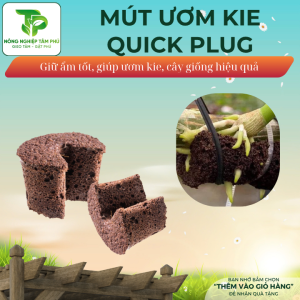 10 Viên mút ươm kie hữu cơ Peatmoss Hà Lan LOẠI TO dành cho hoa lan phi điệp và các loại lan giống