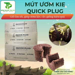 Alternative view of 10 Viên mút ươm kie hữu cơ Peatmoss Hà Lan LOẠI TO dành cho hoa lan phi điệp và các loại lan giống