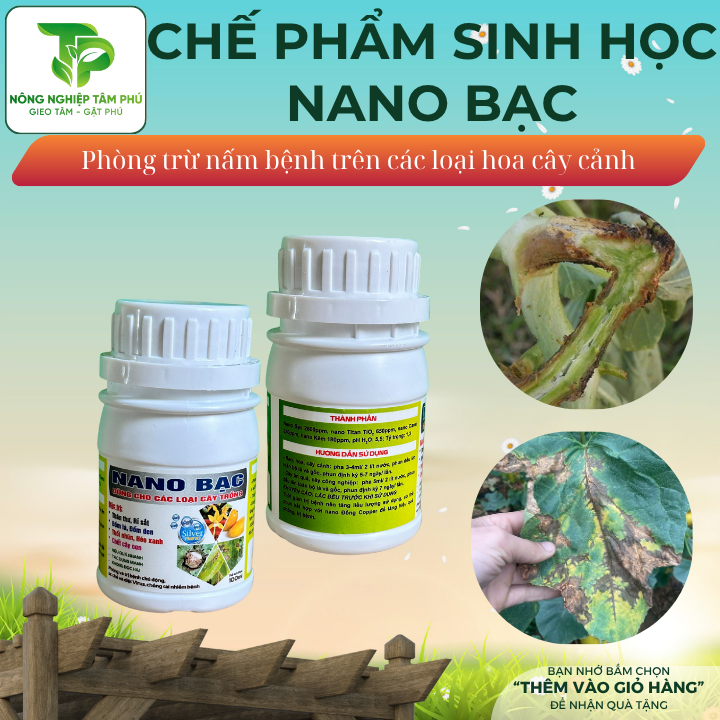 Chế phẩm sinh học Nano bạc, Nano đồng Copper chống rụng trái, trị nấm bệnh vàng lá, đốm lá, rỉ sắt dành cho các loại hoa, cây cảnh - Ảnh 5