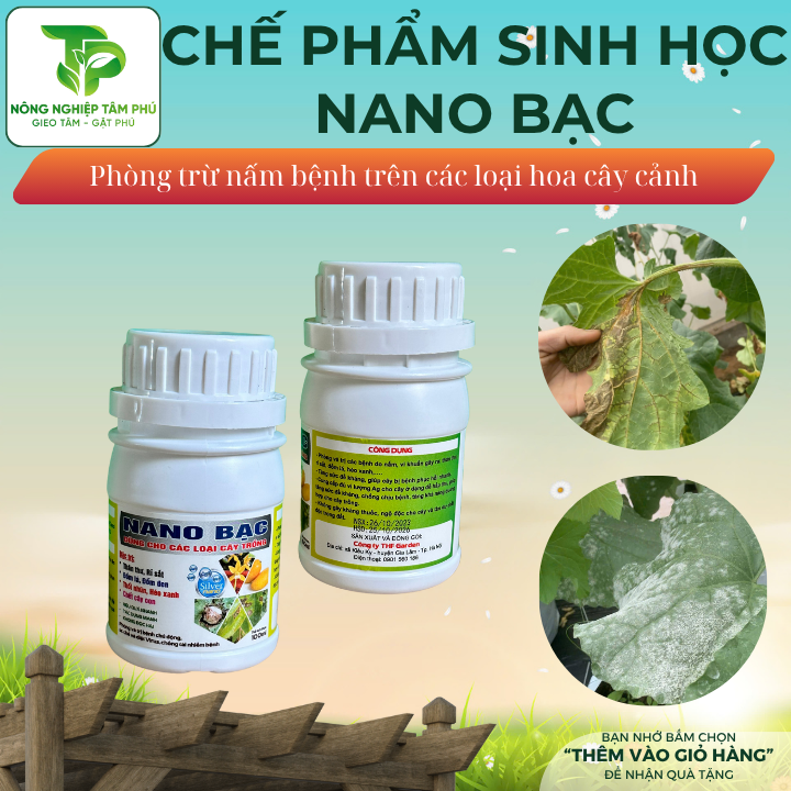 Chế phẩm sinh học Nano bạc, Nano đồng Copper chống rụng trái, trị nấm bệnh vàng lá, đốm lá, rỉ sắt dành cho các loại hoa, cây cảnh - Ảnh 4