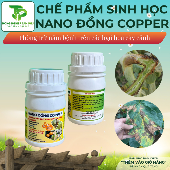 Chế phẩm sinh học Nano bạc, Nano đồng Copper chống rụng trái, trị nấm bệnh vàng lá, đốm lá, rỉ sắt dành cho các loại hoa, cây cảnh - Ảnh 2