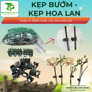 Kẹp bướm trung /đại, kẹp hoa lan, cây giống, cố định các loại hoa phong lan hồ điệp địa lan, làm đồ thủ công mỹ nghệ