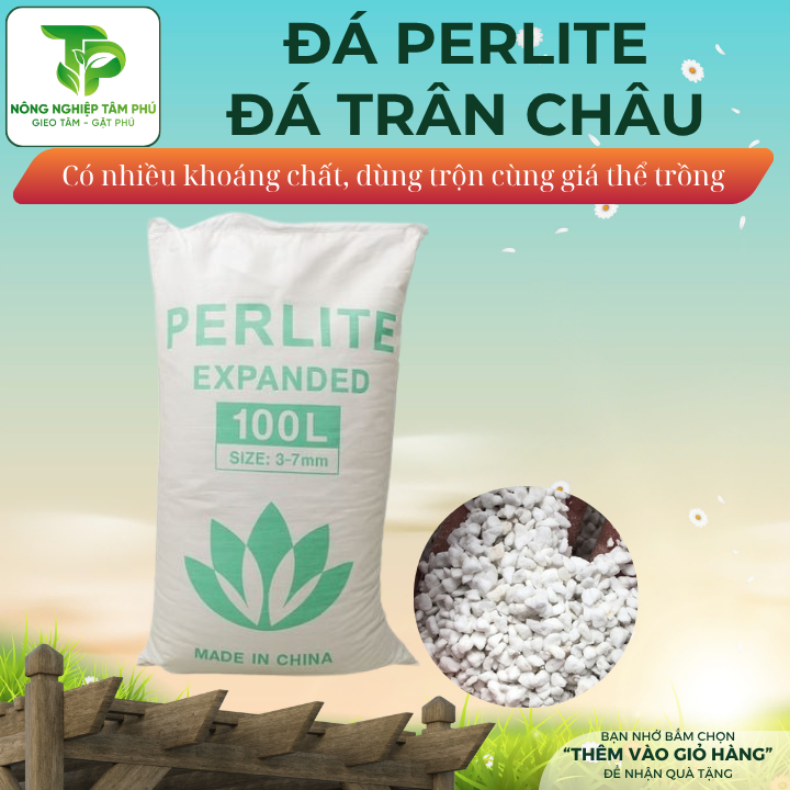 Đá Perlite - Đá trân châu trộn dùng giá thể trồng sen đá, sương rồng, hoa lan và cây cảnh