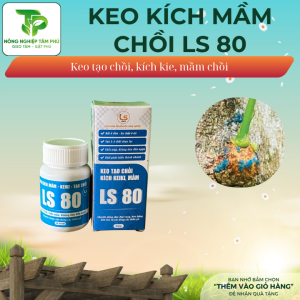 LS 80 - Keo kích mầm, kích chồi bôi ở đâu là mọc chồi ở đó dành cho các loại cây cảnh, bonsai