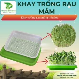 Khay nhựa ươm hạt giống rau mầm giúp cây bật mầm nhanh, phát triển đều, có khay giữ nước bên dưới rất hiệu quả