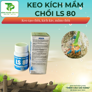 Alternative view of LS 80 - Keo kích mầm, kích chồi bôi ở đâu là mọc chồi ở đó dành cho các loại cây cảnh, bonsai