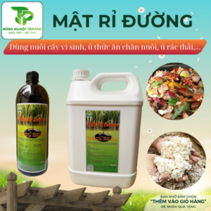 Mật rỉ đường 1L/ 5L giúp khử mùi hôi rác thải nhà bếp, ủ thức ăn chăn nuôi, ủ men EM thứ cấp