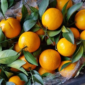 Alternative view of Phân bón siêu Kali trắng, Kali siêu ngọt túi 1kg chuyên dùng cây ăn quả, cây lấy củ giúp củ, quả đẹp mã, độ ngọt cao